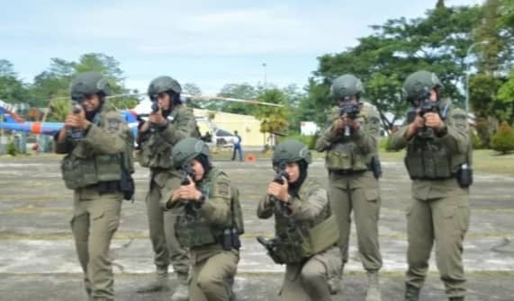 Ilustrasi berita Nasional: Awas !!! Ada 6 Polwan "Cantik Tapi Sangar" dari Korps Brimob Ikut Buru KKB di Papua, Perkuat Satgas Operasi Nemangkawi