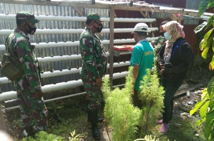 Ilustrasi berita Mimika: TNI di Mimika Ajarkan Kelompok Tani Cara Menanam Sayur Secara Hidroponik