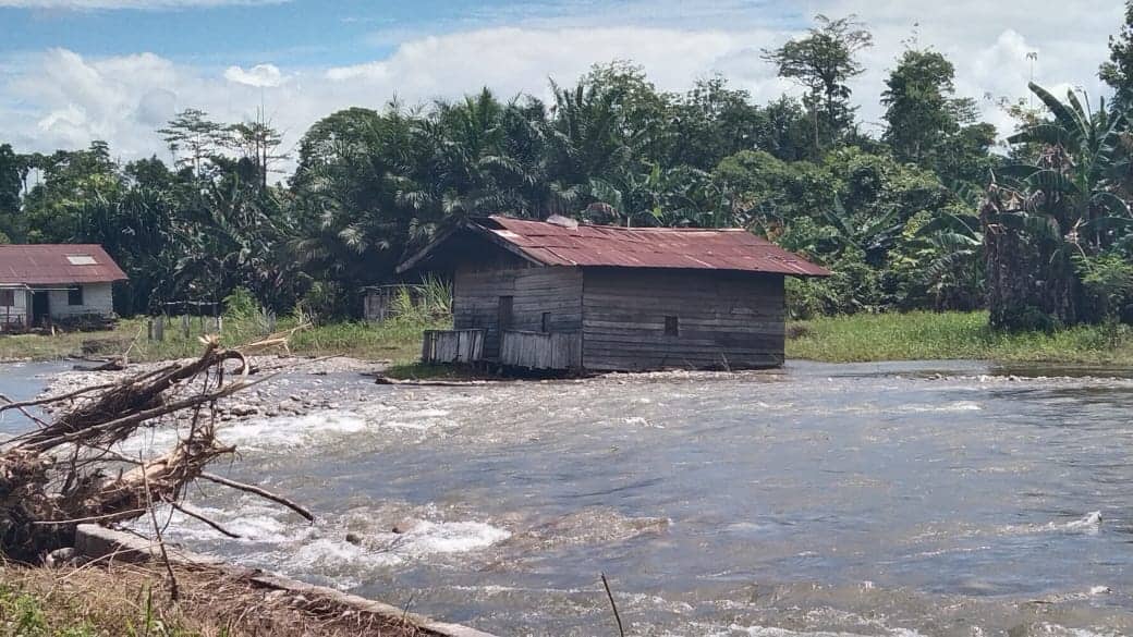 Ilustrasi berita Mimika: Warga Terdampak Banjir Trans Nabire Berharap Perhatian Pemda Mimika, Dewan : Jangan Tinggalkan Rakyat Sendiri