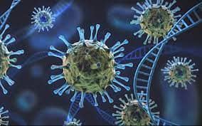 Virus lambda ilustrasi