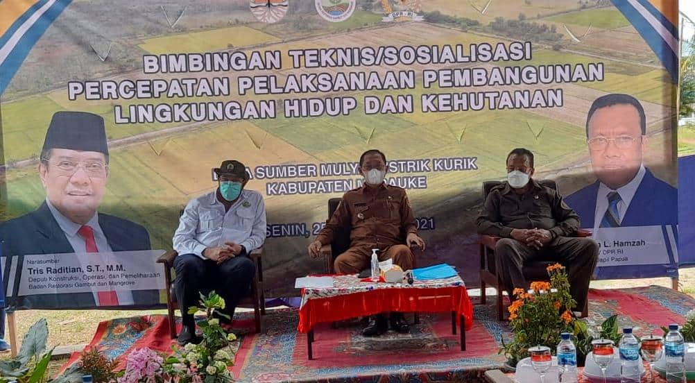 Ilustrasi berita Papua: 650 Ribu Hektar Lahan di Papua, Prioritas Program Restorasi Gambut 2021