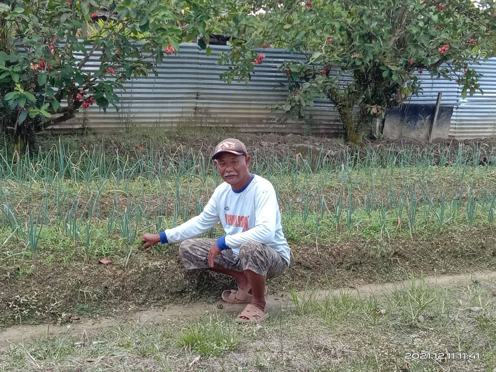 Ilustrasi berita Mimika: Distribusi Pupuk Subsidi ke Petani di Timika Belum Mencukupi, Kurangi Jatah Demi Penuhi Quota