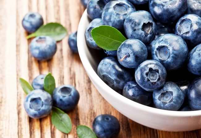 Ilustrasi berita Kesehatan: Khasiat Buah Blueberry Untuk Kesehatan, Bisa Turunkan Risiko Penyakit Jantung