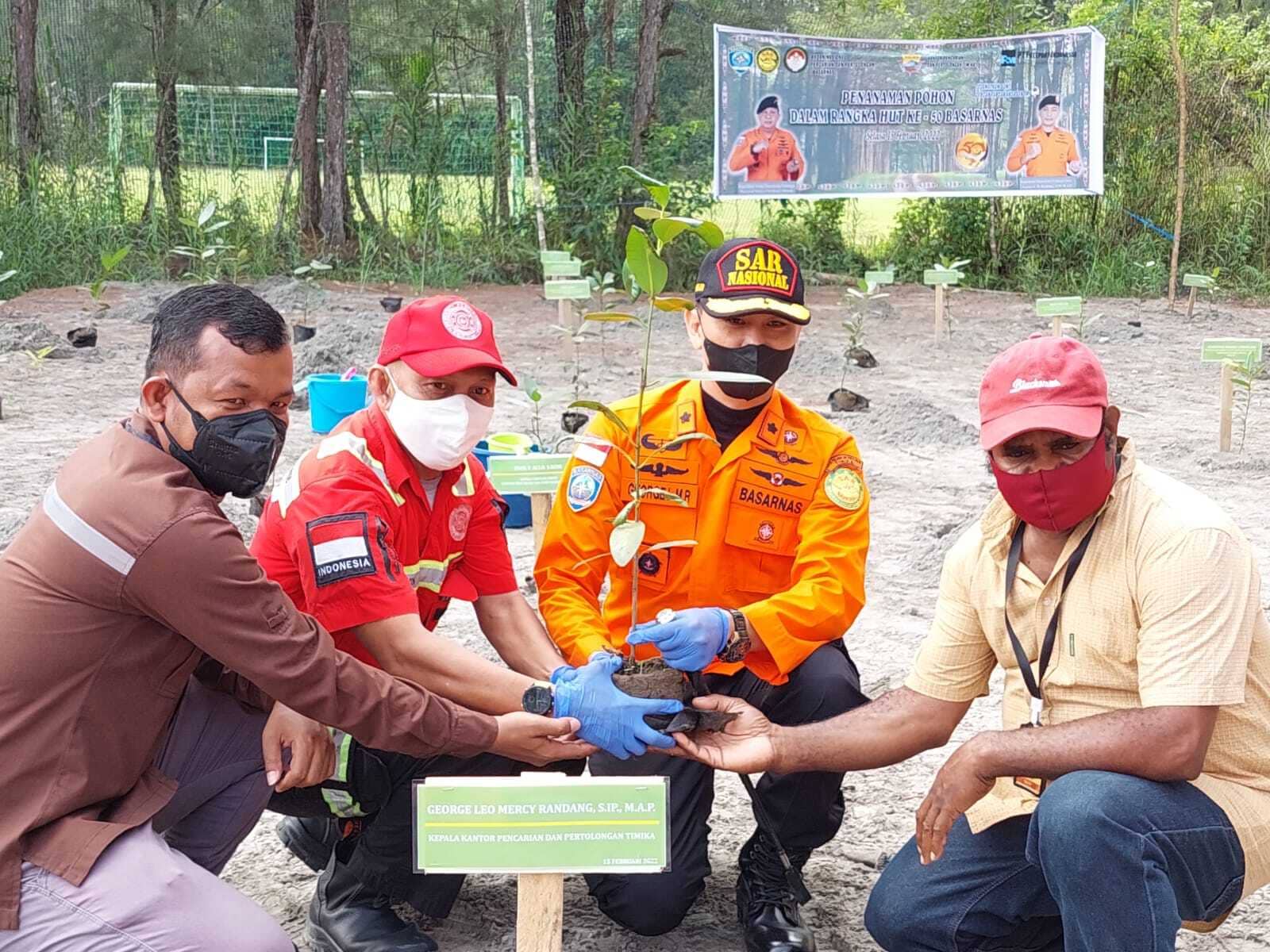 Ilustrasi berita Mimika: SAR Timika Bersama PT Freeport Indonesia Tanam Pohon Bintangor di Mile 21