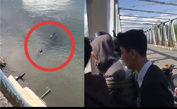 Tampak buaya di Jembatan 2 Pomako