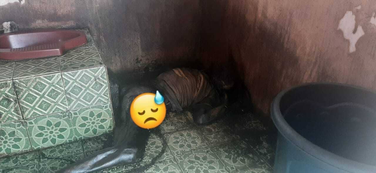 Ilustrasi berita Mimika: Sesosok Jenazah Ditemukan Membusuk di Kamar Mandi Kos-kosan Jalan Sosial Timika, Ini Identitasnya