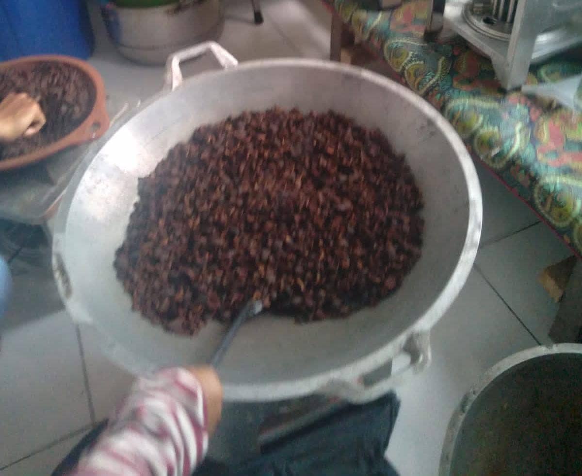 Buah Mangrove/Yapareke dalam Proses pengeringan di rumah produksi KLHK Unit VI Mimika. Kamis, (24/3).