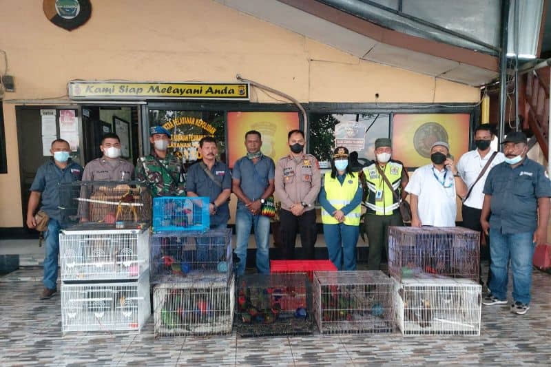 Petugas gabungan Polsek Pelabuhan Sorong dan Satgas Gakkum Balai Besar Konservasi Sumber Daya Alam (BBKSDA) Papua Barat saat menggagalkan upaya penyelundupan satwa liar dilindungi ke luar Papua di pelabuhan Sorong Rabu (20/4/2022).
