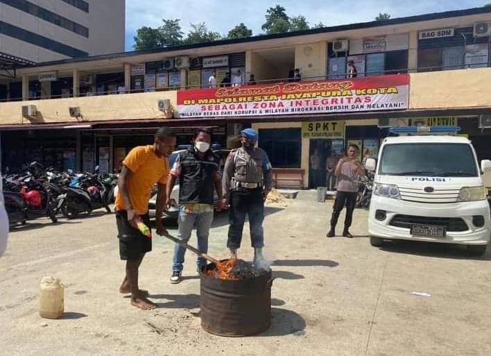 Ilustrasi berita Papua: 21 Kilogram Ganja Milik 4 Warga Papua New Guinea Dimusnahkan