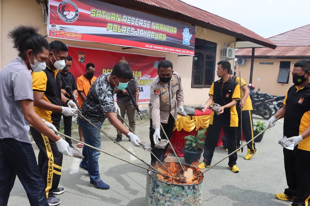 Foto: HSB Terlihat pihak penyidik kepolisian saat memusnahkan ganja.