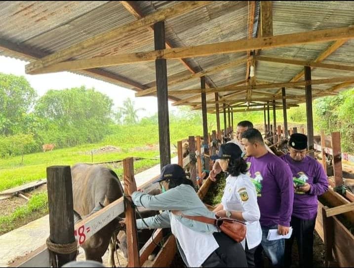 Foto: Dok.PHBI Nampak Kadis Peternakan dan Kesehatan Hewan Kabupaten Mimika, Sabelina Fitriani bersama pengurus organisasi Islam saat meninjau pemeriksaan kesehatan hewan kurban.