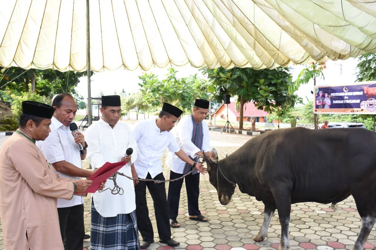 Ilustrasi berita Papua: Pangdam Kasuari Serahkan Hewan Kurban Kepada Pengurus Masjid, Memaknai Idul Adha Sebagai Bentuk Syukur dan Terima Kasih Kepada Tuhan