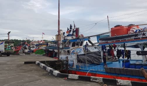 Ilustrasi berita Mimika: Investor Lirik Investasi Unit Pengolahan Ikan Beku di Kabupaten Mimika Senilai Rp 45 Miliar