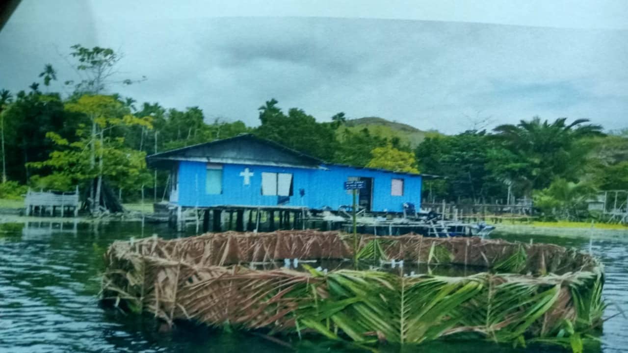Ilustrasi berita Papua: Pemkab Jayapura Ciptakan Sarang Buatan Kembalikan Populasi Ikan Gabus di Danau Sentani