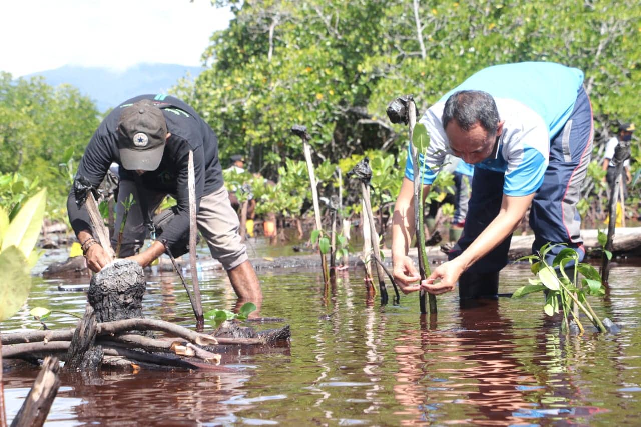 Ilustrasi berita Papua: HUT Humas Polri ke-71, Bid Humas Polda Papua Tanam 500 Mangrove di Pesisir Pantai Holtekamp Cibey Jayapura