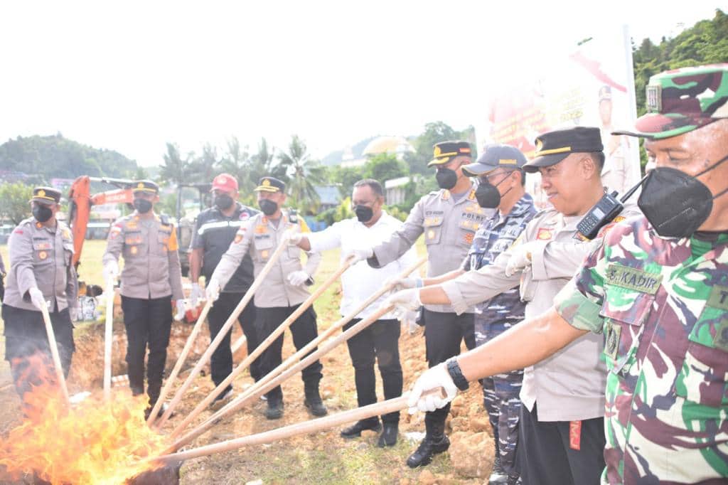 Ilustrasi berita Papua: Ribuan Miras dan 18 Kg Ganja Serta Ratusan Obat Terlarang Dimusnahkan Polisi di Jayapura