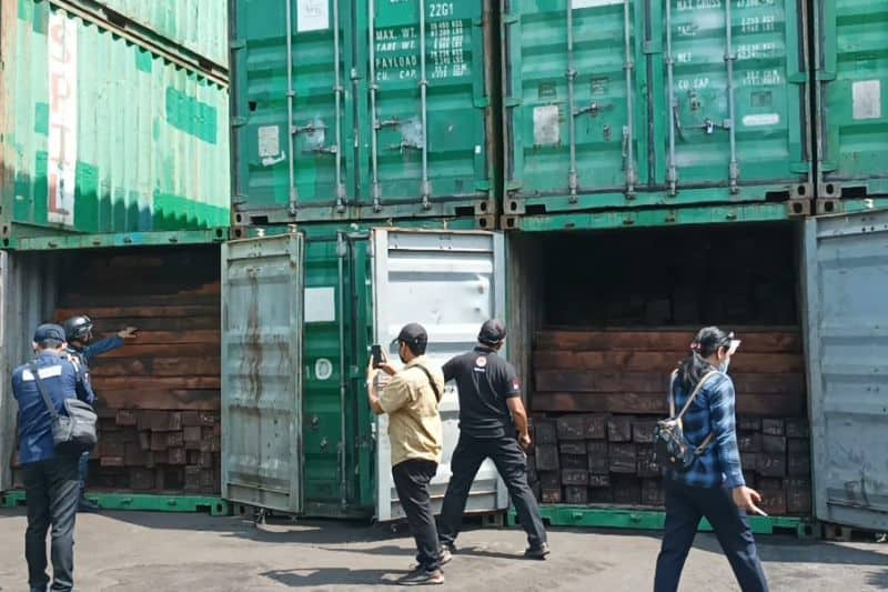 Ilustrasi berita Nasional: KLHK Bongkar Peredaran Kayu Ilegal Sebanyak 57 Kontainer asal Papua