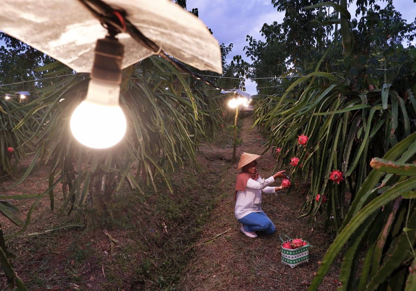 Ilustrasi berita Nasional: Mantap, PLN Catat Kenaikan Penjualan Listrik 6,17 Persen Tahun 2022