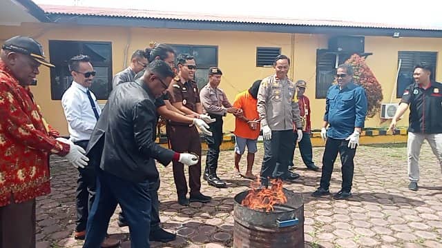 Ilustrasi berita Mimika: Polres Mimika Musnahkan Ganja Seberat 241,2 Gram Milik Tersangka MKSS