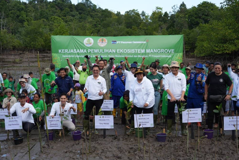 Ilustrasi berita Nasional: KLHK, BRGM, dan Freeport Indonesia Rehabilitasi 2.000 Hektar Lahan Mangrove di Kalimantan Timur
