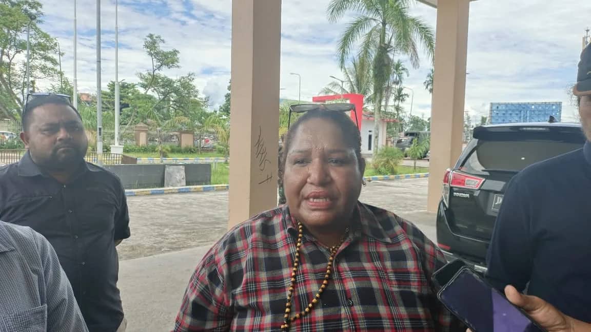 Ilustrasi berita Papua: Pesawat Pengangkut Logistik Ditembaki KKB, Bawaslu Rekomendasikan Lima Distrik di Intan Jaya Pemilu Susulan