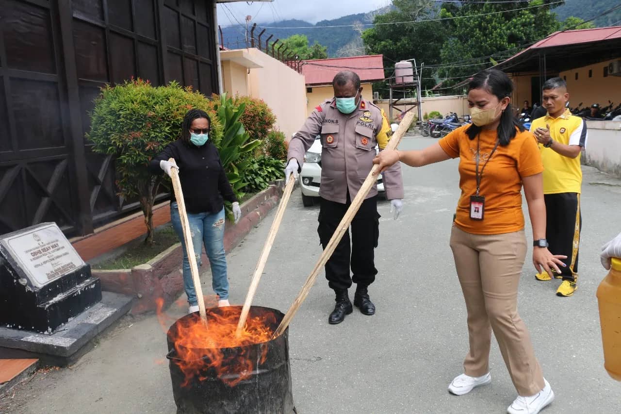 Ilustrasi berita JAYAPURA: Polres Jayapura Musnahkan Ganja dan Sabu-Sabu Disaksikan 4 Tersangka