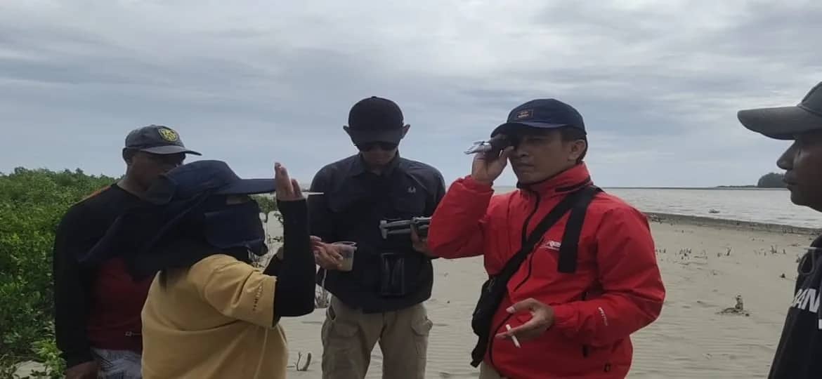 Ilustrasi berita Mimika: Sudah Tanam 105 Bibit, BRGM Lakukan Survei Peta Indikatif Rehabilitasi Hutan Mangrove di Pesisir Mimika