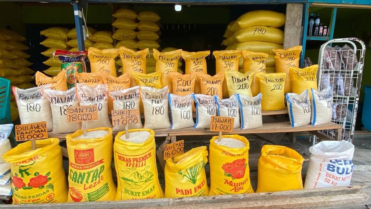 Ilustrasi berita Mimika: Harga Beras di Timika Bakal Naik Lagi, Pasar Murah Pemda Mimika Malah Bikin Pedagang Makin Terjepit