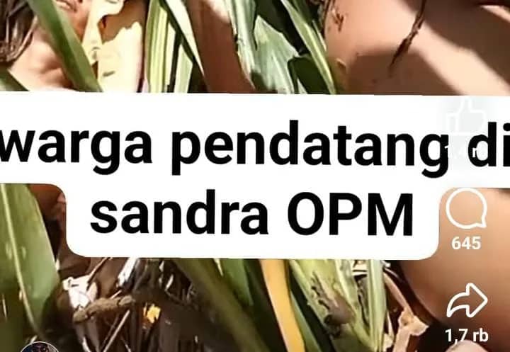 Ilustrasi berita Papua: Beredar Video Tiga Wanita Berusia Ibu-Ibu Disiksa Dalam Keadaan Telanjang di Semak-semak