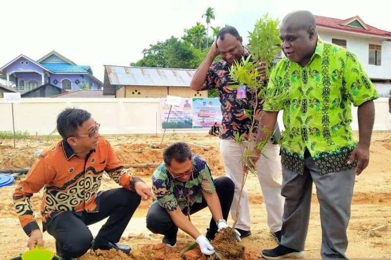 Ilustrasi berita Papua: Salju Abadi di Pegunungan Kartens Timika Mencair Dorong Pemprov PBD Tanam Pohon Antisipasi Pemanasan Iklim