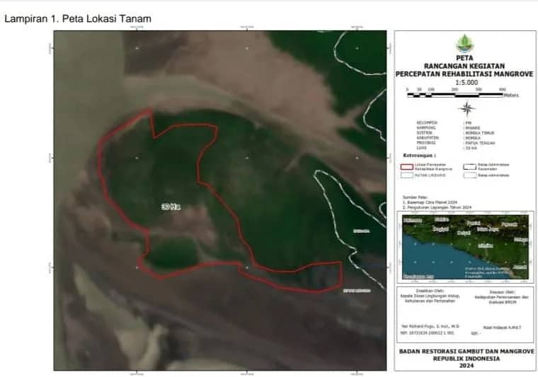Ilustrasi berita Mimika: Sudah Teken Kontrak bersama BRGM RI, KTM Warga Pesisir Mimika Siap Tanam 96.700 Propagul Mangrove