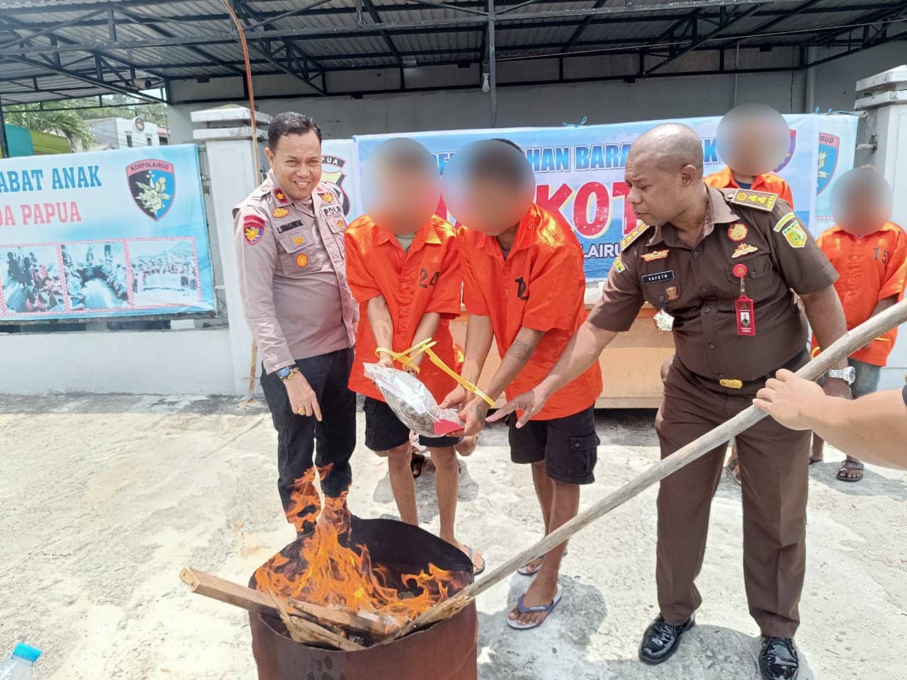 Ilustrasi berita JAYAPURA: Polda Papua Musnahkan 1,337 Kilogram Ganja dari Lima Tersangka