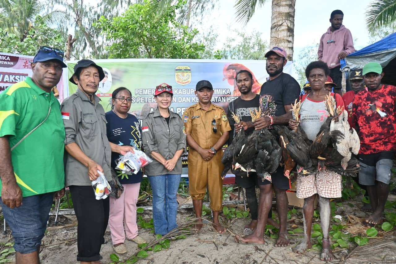 Ilustrasi berita Mimika: Perjalanan Penuh Makna Menyusuri Kampung-kampung Pesisir Bersama drh. Sabelina Fitriani, Harapan Baru untuk Peternak OAP Mimika