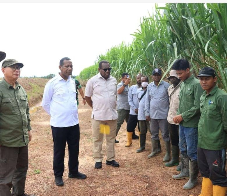 Ilustrasi berita BERITA UTAMA: Papua Selatan Target Produksi 3,5 Juta Ton Gula per Tahun, Menuju Swasembada Nasional