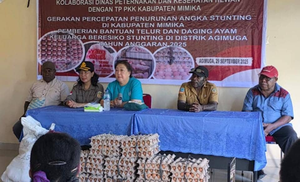 Ilustrasi berita Mimika: TP PKK Mimika, Disnakeswan dan DKP Kolaborasi Bantu Warga Agimuga, Ini Rentetan Kegiatan yang Mereka Lakukan