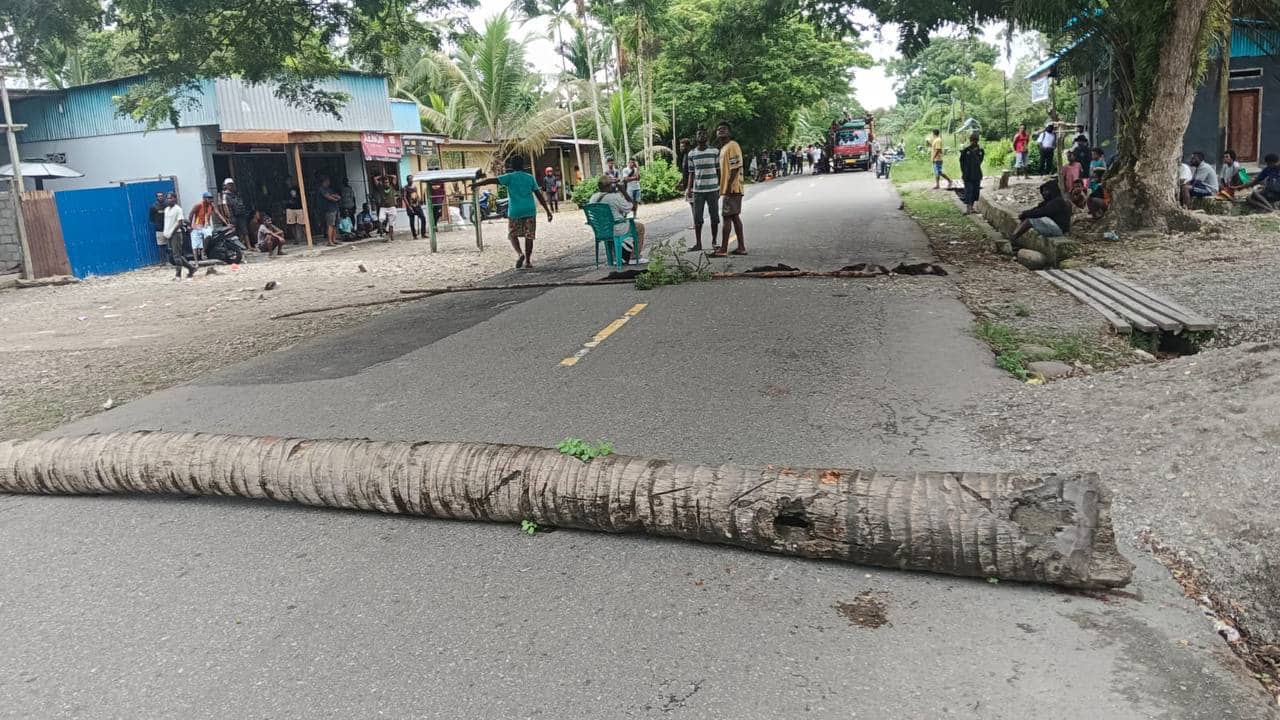 Ilustrasi berita Mimika: 4 Ekor Anjing Dorong Warga Kampung Kaugapu Palang Jalan Poros Timika Pomako, Lalulintas Lumpuh Total