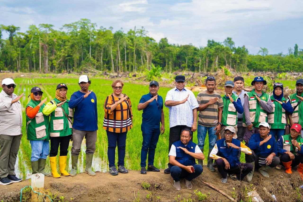 Ilustrasi berita Nasional: Gubernur Fakhiri Tinjau Lokasi Cetak Sawah di Keerom, Targetkan Jadi Lumbung Pangan Papua