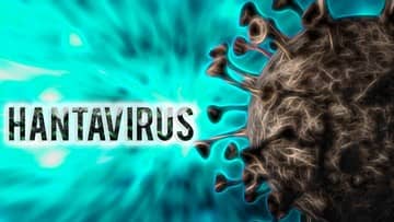 Penumpang Kapal MV Hondius Jalani Karantina di Taiwan Akibat Wabah Hantavirus