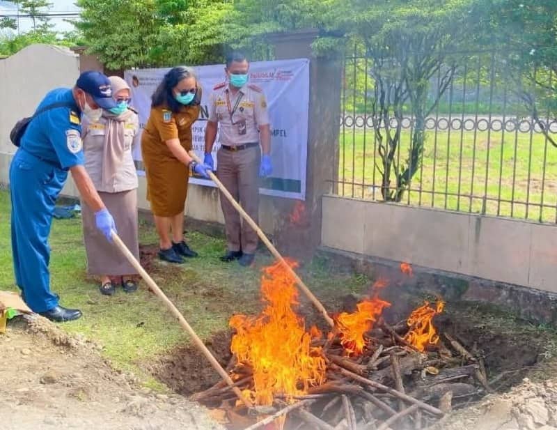 Ilustrasi berita Mimika: Karantina Papua Tengah Musnahkan Sapi asal Tual Tanpa Dokumen di Timika