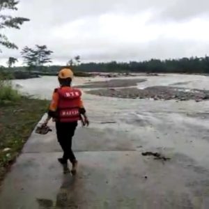 Proyek Sawit Hanya Tameng, PT PAL Sudah Habiskan 38.000 Hektare Lahan Kayu, Awiyuta: Kami Selalu Terima Banjir