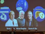3 Orang Ilmuwan Penemu Virus Hepatitis C Di Anugrahi Nobel Kedokteran 2020