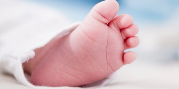 Kabar Gembira, akan Ada Lebih dari 370.000 Bayi Mungil “Buah” Tahun Baru