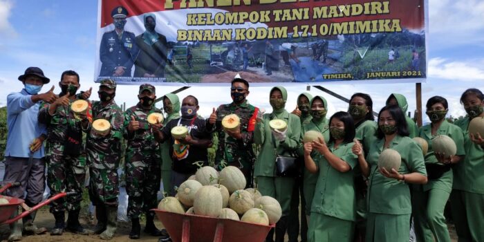 Dandim Pimpin Panen Buah Melon Poktan Mandiri di SP 4 Mimika, Minta Berdayakan Petani Lokal