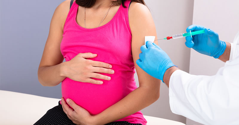 Ibu Hamil Di Vaksin