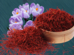 Saffron Yang Berguna Untuk Diet