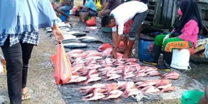 Wuihh !!!, Ternyata Laporan BPS Ikan Ekor Kuning Ikut Jadi Pemicu Inflasi di Timika
