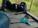 Perjuangan Pak Guru Benny yang Tertidur di Jembatan Pelabuhan Kampung Nggolar, Viral di Media Sosial