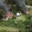 Foto : Istimewa DIBAKAR- Rumah Wakil Ketua DPRD Kabupaten Puncak dan Rumah Kepala SMPN 1 Beoga dibakar oleh KKB di Beoga.
