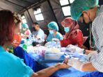 Membludak! 900 Warga Kota Merauke Diberi Vaksin Sinovac, Jelang Hari Bhayangkara ke-75