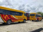 Sopir Bus PON Mimika dari Perusahaan Sewa Mobil, Berarti Pasca PON Bus Dikembalikan? Tokoh Kamoro Kecewa